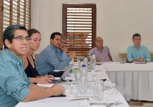 Chính phủ Colombia và FARC lùi ngày đàm phán ảnh 1