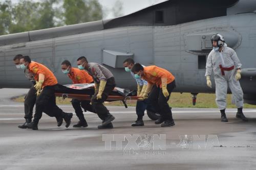 Tìm thấy 51 thi thể hành khách máy bay AirAsia ảnh 1