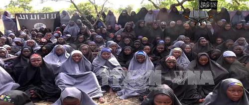 Boko Haram bắt cóc 80 người ở Cameroon ảnh 1