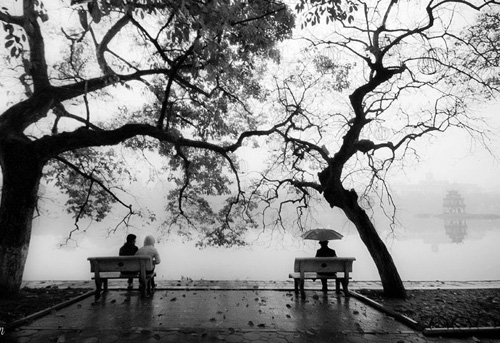 Hoài niệm mùa đông ảnh 1