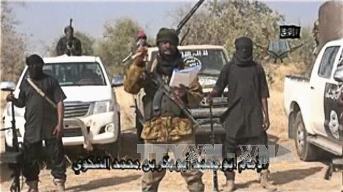 Nigeria có thể tự đối phó với Boko Haram ảnh 1
