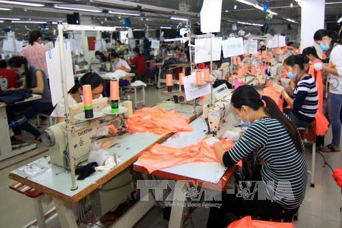 Năm 2015, xuất khẩu lao động sẽ sáng hơn ảnh 1