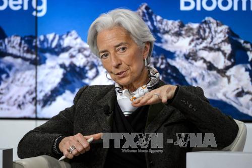 IMF tiếp tục hỗ trợ tài chính cho Hy Lạp sau bầu cử ảnh 1