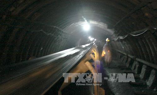 Đẩy nhanh cơ giới hóa khai thác than hầm lò ảnh 1