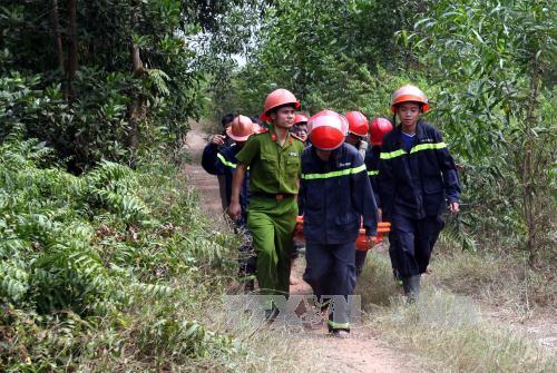 Vụ trực thăng rơi ở TP.HCM: 4 chiến sỹ hy sinh ảnh 1