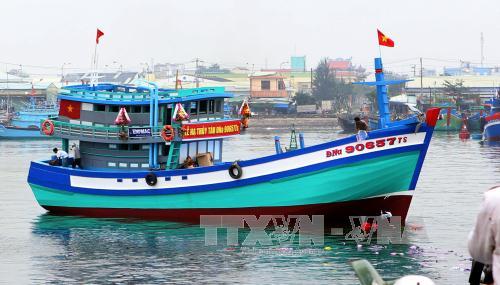 Tiếp tục đẩy mạnh thực hiện chính sách phát triển thủy sản ảnh 1
