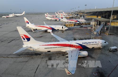 Malaysia tuyên bố vụ máy bay MH370 là một tai nạn ảnh 1
