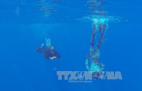 Australia tiếp tục tìm kiếm MH370 ảnh 1