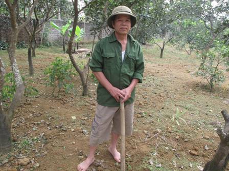 Đảng viên đi trước, cả thôn noi theo ảnh 1