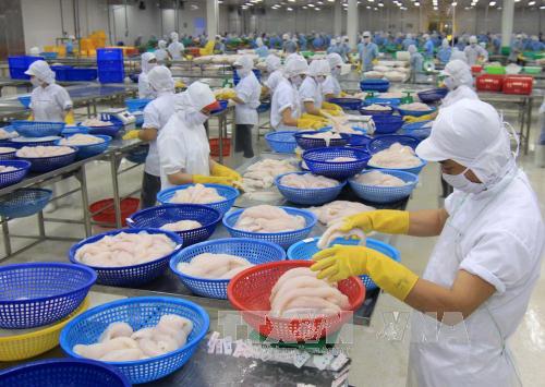Trao đổi thương mại Việt-Nga hướng tới 10 tỷ USD năm 2020 ảnh 1