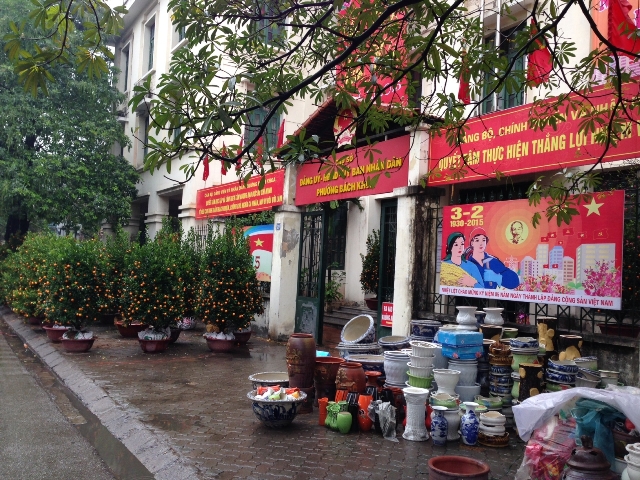 Quất, đào xuống phố ảnh 7