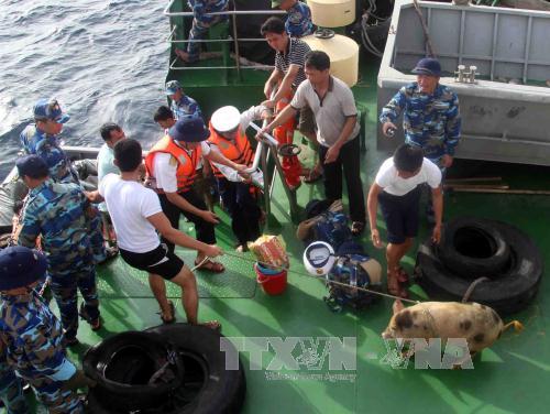 Chủ tịch nước tặng quà Tết cho Trường Sa ảnh 1