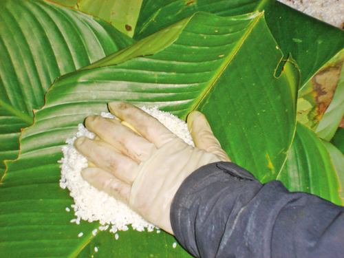 Bánh Chưng ngày Tết ảnh 3