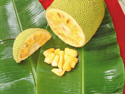 Mít - thực phẩm bị lãng quên ảnh 1