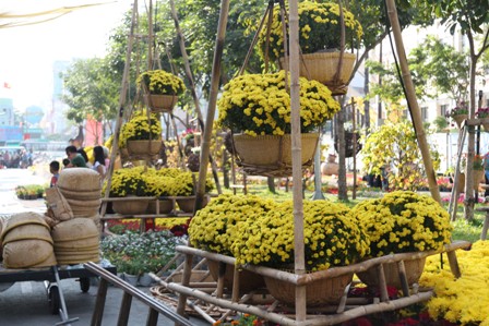Đường hoa Hàm Nghi trước giờ khai mạc ảnh 3