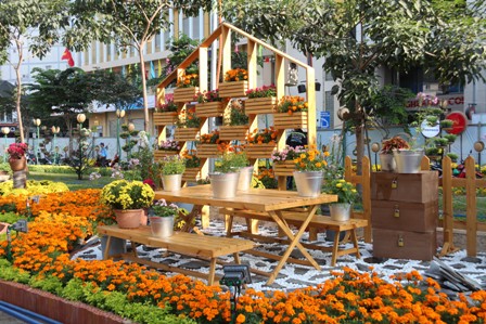 Đường hoa Hàm Nghi trước giờ khai mạc ảnh 6