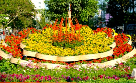 Đường hoa Hàm Nghi trước giờ khai mạc ảnh 8