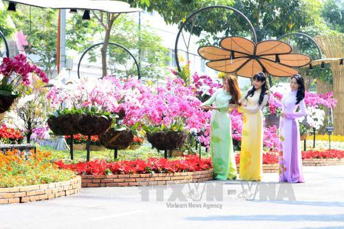 Thành phố Hồ Chí Minh rực rỡ sắc màu đường hoa ảnh 2