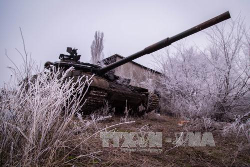 OSCE giám sát tình hình tại Đông Ukraine ảnh 1