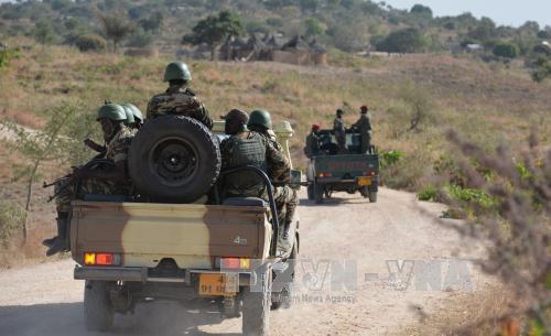 Các nước Trung Phi lập quỹ khẩn cấp chống Boko Haram ảnh 1
