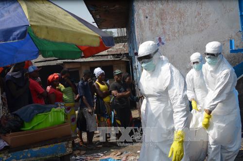 Ngân hàng Phát triển châu Phi cam kết xóa bỏ dịch Ebola ảnh 1