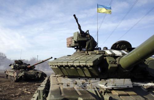 Phát hiện vũ khí phương Tây tại Debaltsevo ảnh 1