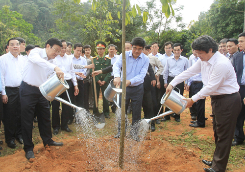 Tết trồng cây nhớ ơn Bác ảnh 1