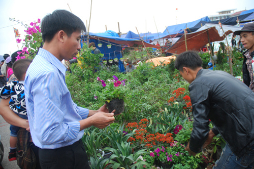 'Mua may, bán rủi' ở chợ Viềng ảnh 1