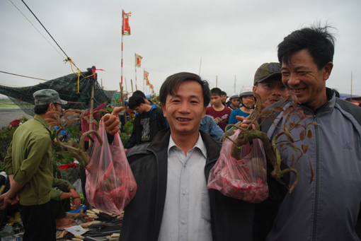 'Mua may, bán rủi' ở chợ Viềng ảnh 2
