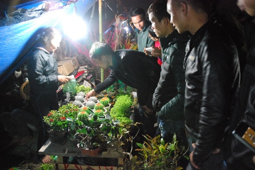 'Mua may, bán rủi' ở chợ Viềng ảnh 4