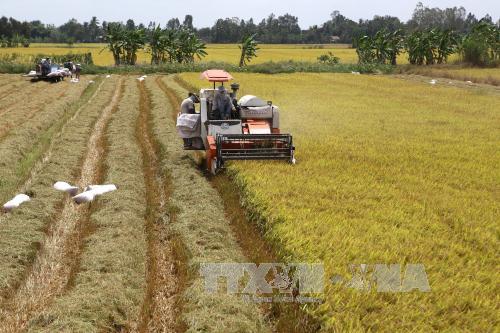 Nước mặn xâm nhập sâu đồng bằng sông Cửu Long ảnh 1