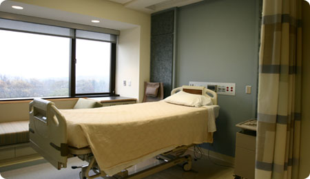 TP HCM