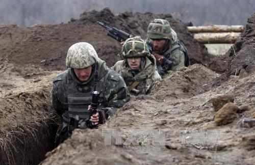 Khủng hoảng Ukraine và vở kịch 'ong đốt thợ săn' ảnh 1