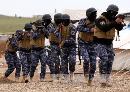 Iraq không cần nước ngoài hỗ trợ giải phóng Mosul ảnh 1