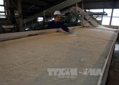 Ngành mía đường sẽ đổi mới trong điều kiện cho phép ảnh 1
