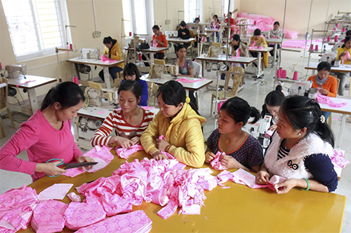 Hỗ trợ nhóm phụ nữ yếu thế ảnh 1