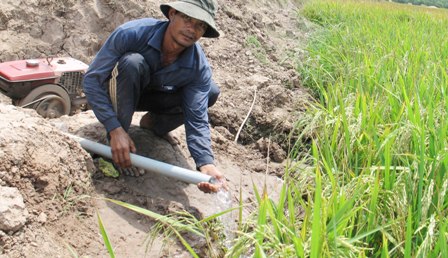 Đồng bằng sông Cửu Long khẩn trương chống hạn, mặn ảnh 1