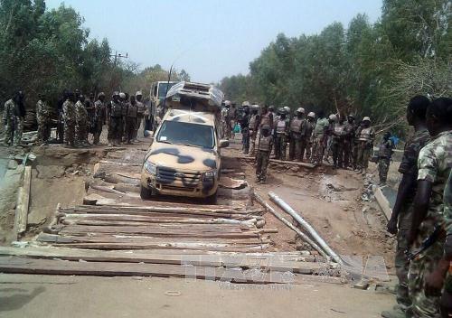 Nigeria giải phóng bang Yobe khỏi Boko Haram ảnh 1