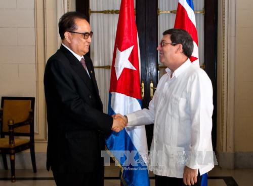 Cuba, Triều Tiên tăng cường quan hệ song phương ảnh 1