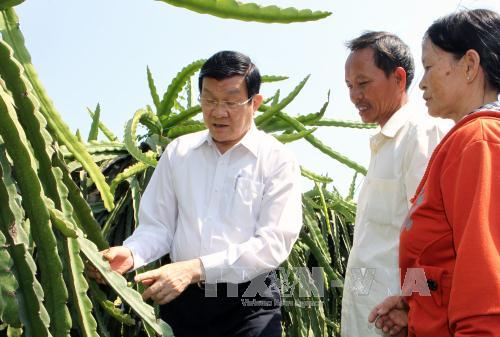 Chủ tịch nước Trương Tấn Sang thăm và làm việc tại Bình Thuận