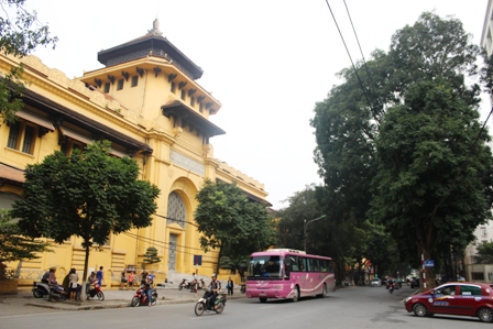 Những hàng cây xanh quyến rũ của Hà Thành ảnh 1
