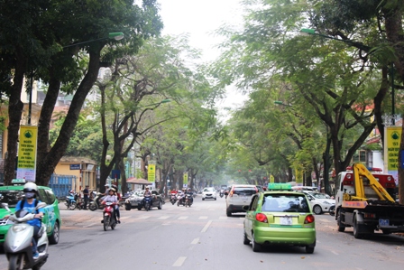 Những hàng cây xanh quyến rũ của Hà Thành ảnh 4