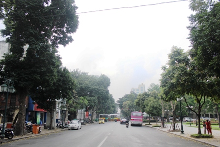 Những hàng cây xanh quyến rũ của Hà Thành ảnh 7