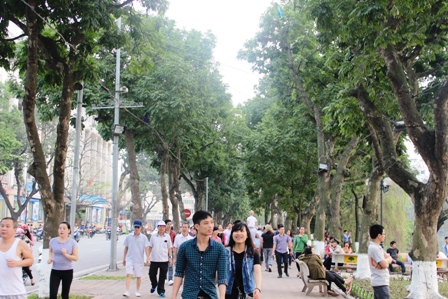 Những hàng cây xanh quyến rũ của Hà Thành ảnh 12