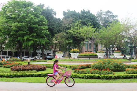 Những hàng cây xanh quyến rũ của Hà Thành ảnh 8