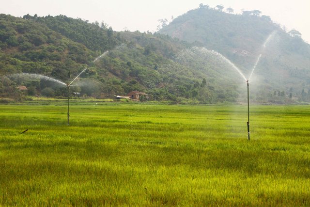 Ruộng đồng nứt nẻ đầu mùa khô ở Đắk Lắk ảnh 6