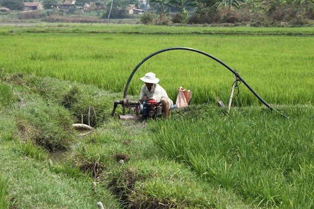 Ruộng đồng nứt nẻ đầu mùa khô ở Đắk Lắk ảnh 5