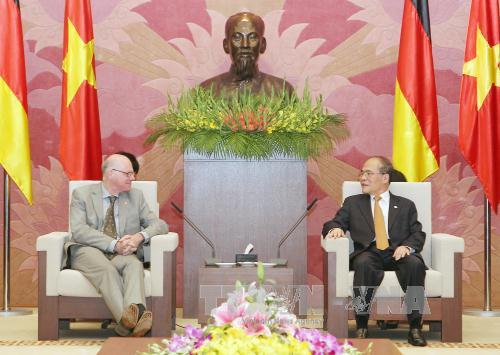 Chủ tịch Quốc hội Nguyễn Sinh Hùng tiếp Chủ tịch Hạ viện Ấn Độ ảnh 2