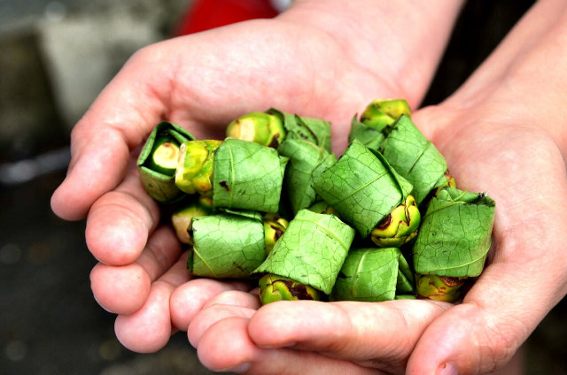 Trầu cau và cái chết âm thầm ảnh 1
