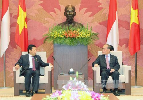 Chủ tịch Quốc hội tiếp Chủ tịch Hạ viện Indonesia ảnh 2